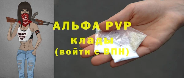 гидра Краснослободск