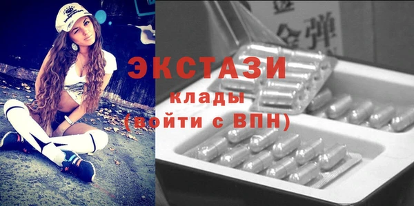 гидра Краснослободск