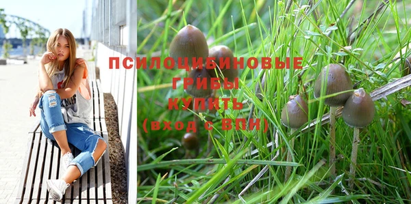 гидра Краснослободск