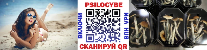 Купить закладки Каргат Галлюциногенные грибы прущие грибы